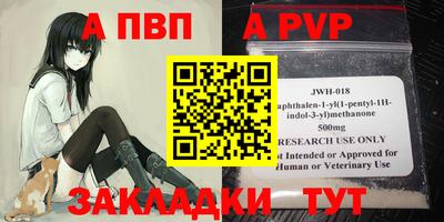 стафф Гатчина