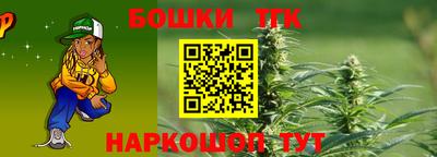 стафф Гатчина