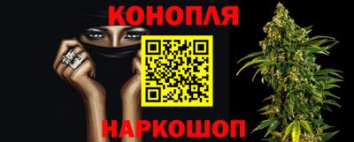 mdpv Гай