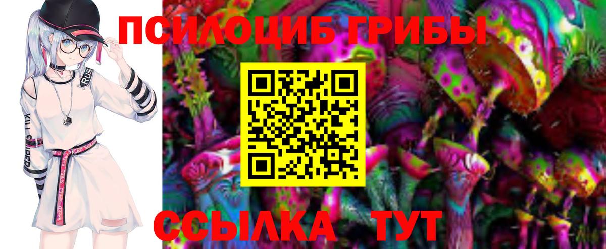 Псилоцибиновые грибы прущие грибы  Вход с VPN  Новоалтайск 